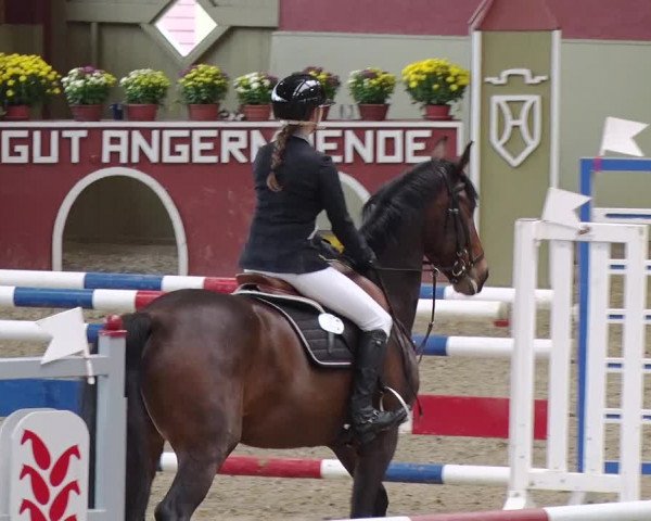 Reitturnier Angermünde OT Zuchenberg 2017