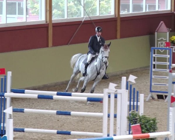 Reitturnier Angermünde OT Zuchenberg 2017
