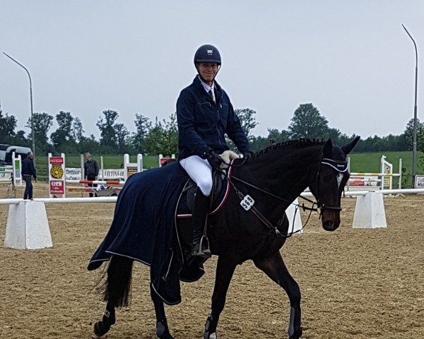 jumper Shalco (Hanoverian, 2013, from Shalimaro)