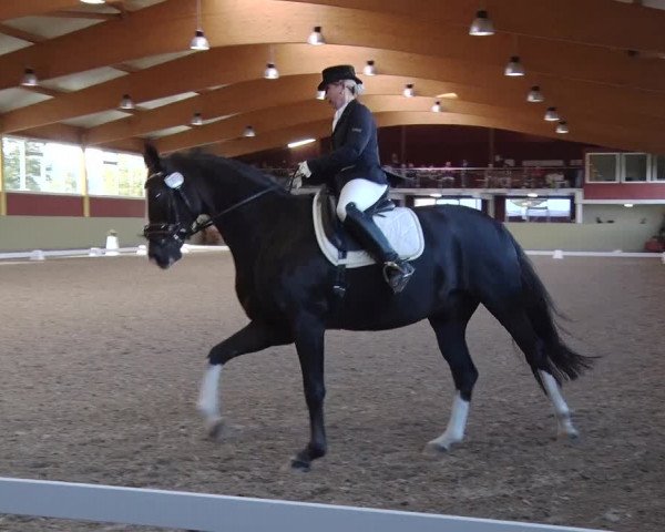 Reitturnier Angermünde OT Zuchenberg 2017
