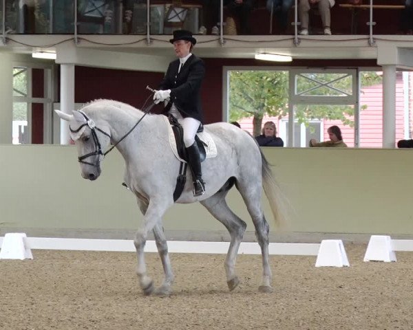 Reitturnier Angermünde OT Zuchenberg 2017