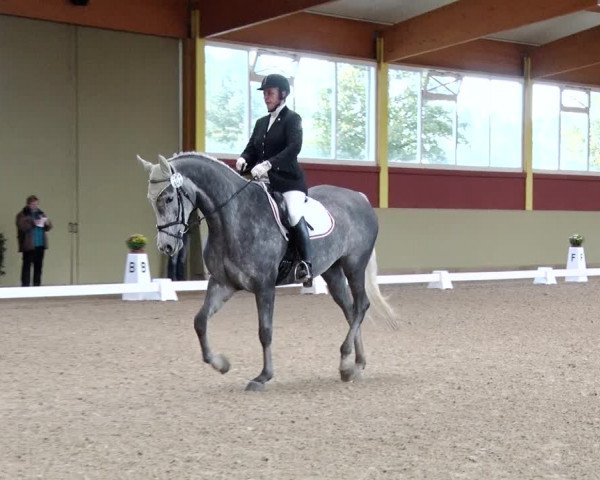 Reitturnier Angermünde OT Zuchenberg 2017