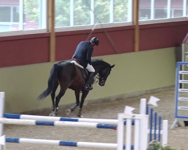Reitturnier Angermünde OT Zuchenberg 2017