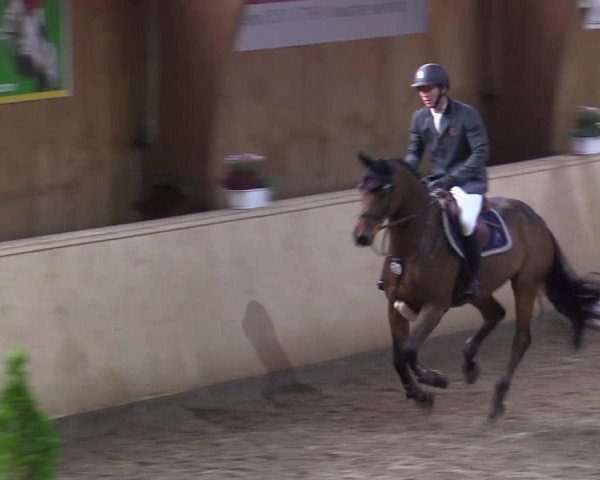 Reitturnier Hövelhof 2017