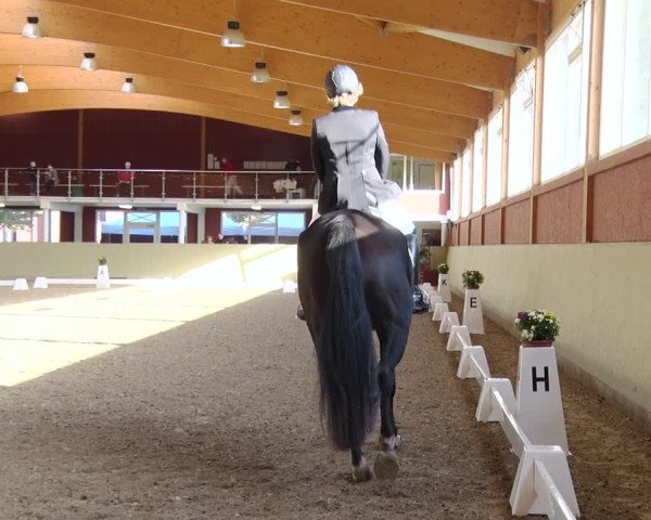 Reitturnier Angermünde OT Zuchenberg 2017