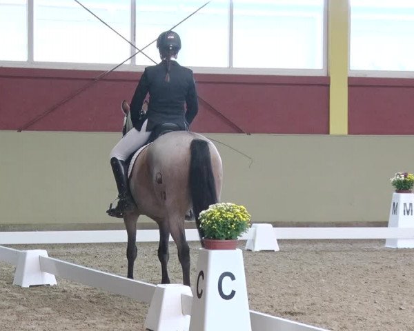 Reitturnier Angermünde OT Zuchenberg 2017