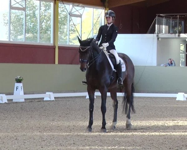 Reitturnier Angermünde OT Zuchenberg 2017