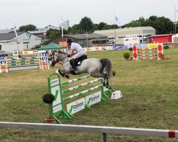 jumper Clarano (Holsteiner, 2011, from Clarimo Ask)