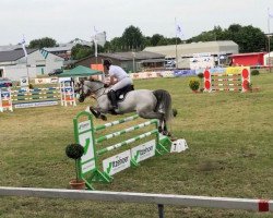 jumper Clarano (Holsteiner, 2011, from Clarimo Ask)