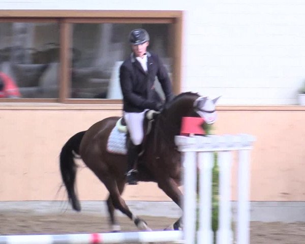 Reitturnier Hövelhof 2017