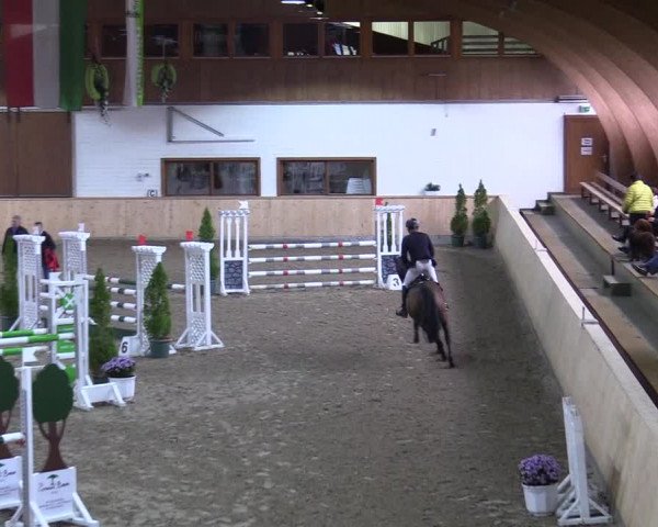 Reitturnier Hövelhof 2017