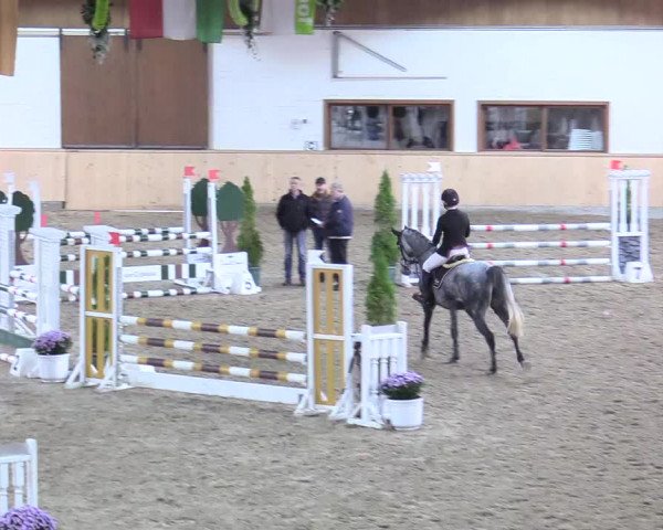 Reitturnier Hövelhof 2017