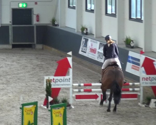 Reitturnier Mönchengladbach-Abtshof 2017