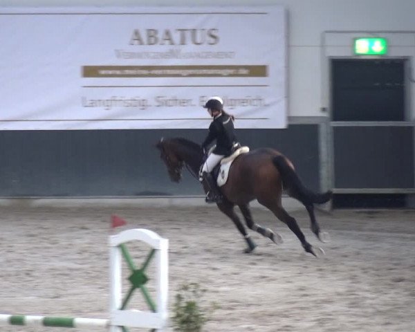 Reitturnier Mönchengladbach-Abtshof 2017