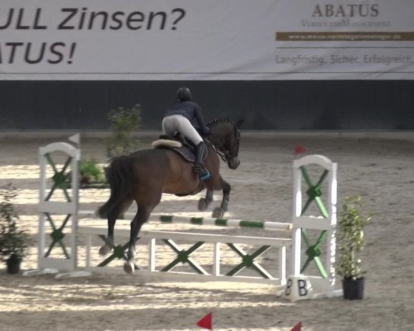 Reitturnier Mönchengladbach-Abtshof 2017