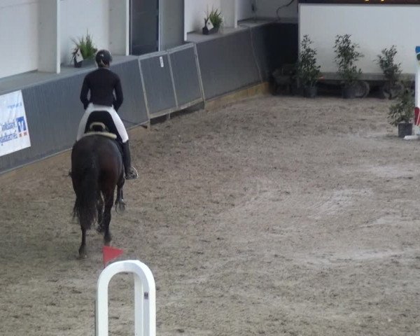 Reitturnier Mönchengladbach-Abtshof 2017