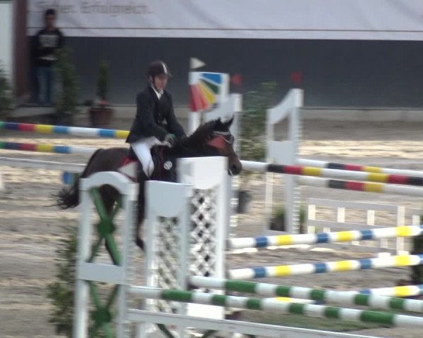 Reitturnier Mönchengladbach-Abtshof 2017