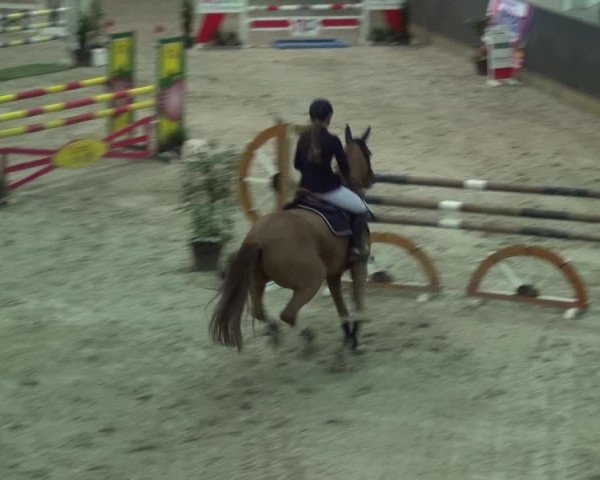 Reitturnier Mönchengladbach-Abtshof 2017