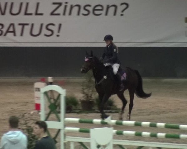Reitturnier Mönchengladbach-Abtshof 2017