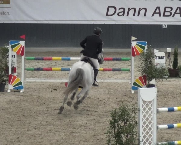 Reitturnier Mönchengladbach-Abtshof 2017