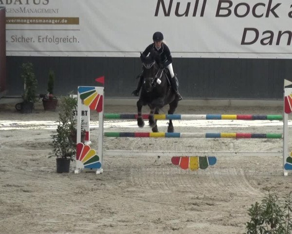 Reitturnier Mönchengladbach-Abtshof 2017