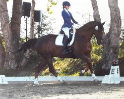 dressage horse Bodyguard 55 (Oldenburg, 2010, from Bordeaux 28)