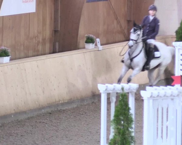 Reitturnier Hövelhof 2017
