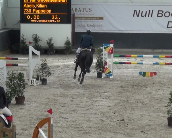 Reitturnier Mönchengladbach-Abtshof 2017