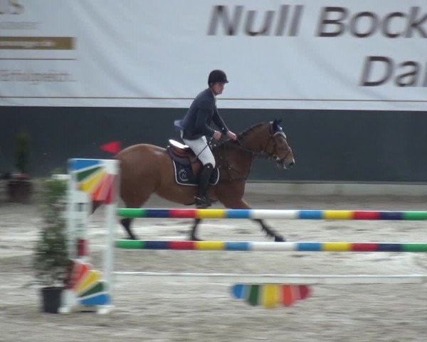Reitturnier Mönchengladbach-Abtshof 2017
