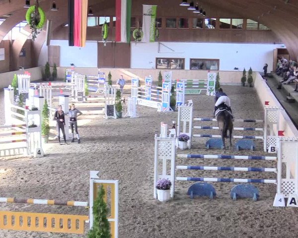 Reitturnier Hövelhof 2017