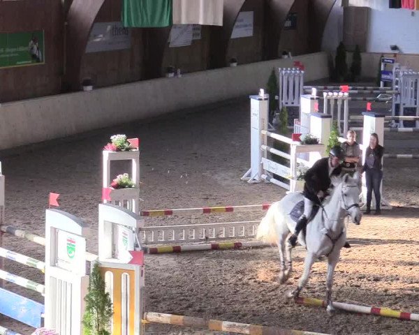 Reitturnier Hövelhof 2017
