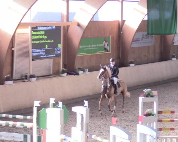 Reitturnier Hövelhof 2017