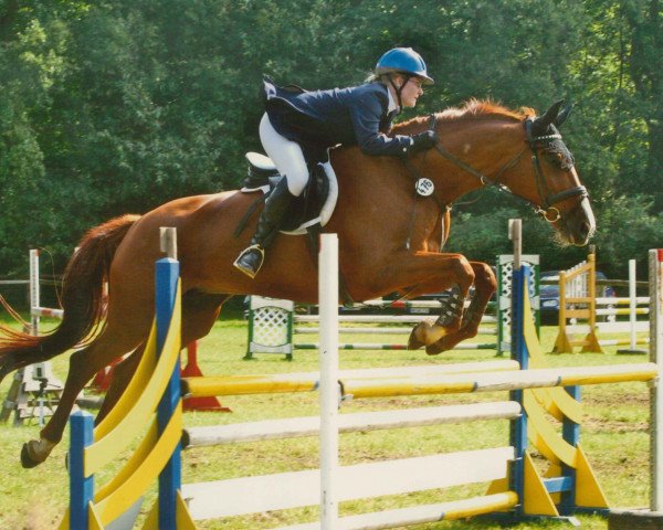 broodmare Pro Secca (Rhinelander, 1992, from Picadeur)