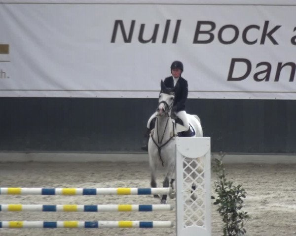 Reitturnier Mönchengladbach-Abtshof 2017