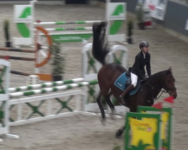 Reitturnier Mönchengladbach-Abtshof 2017