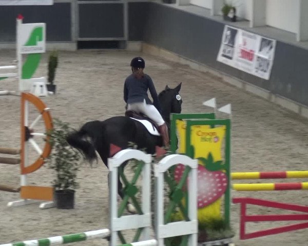 Reitturnier Mönchengladbach-Abtshof 2017