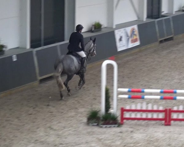 Reitturnier Mönchengladbach-Abtshof 2017
