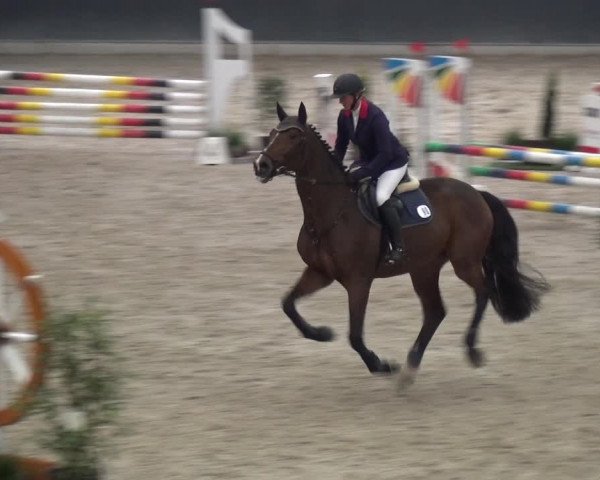 Reitturnier Mönchengladbach-Abtshof 2017