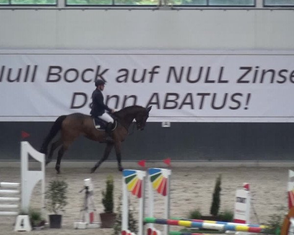 Reitturnier Mönchengladbach-Abtshof 2017