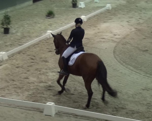 Reitturnier Mönchengladbach-Abtshof 2017