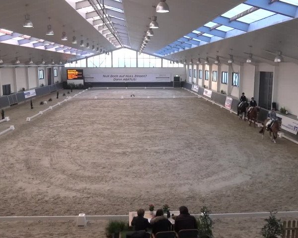 Reitturnier Mönchengladbach-Abtshof 2017