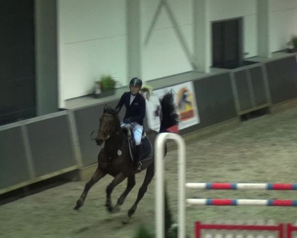 Reitturnier Mönchengladbach-Abtshof 2017