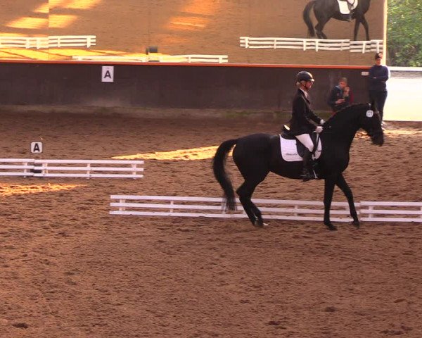 Reitturnier Dallgow 2017