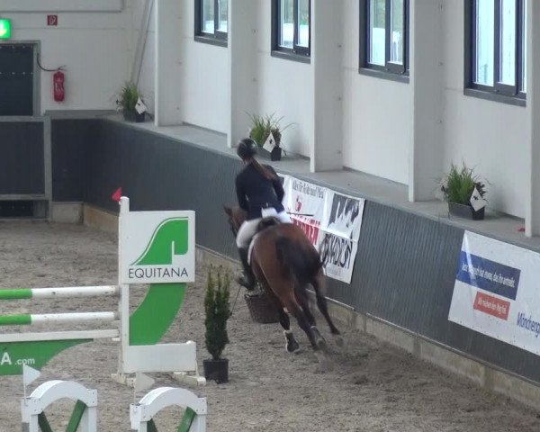 Reitturnier Mönchengladbach-Abtshof 2017