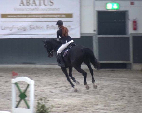 Reitturnier Mönchengladbach-Abtshof 2017