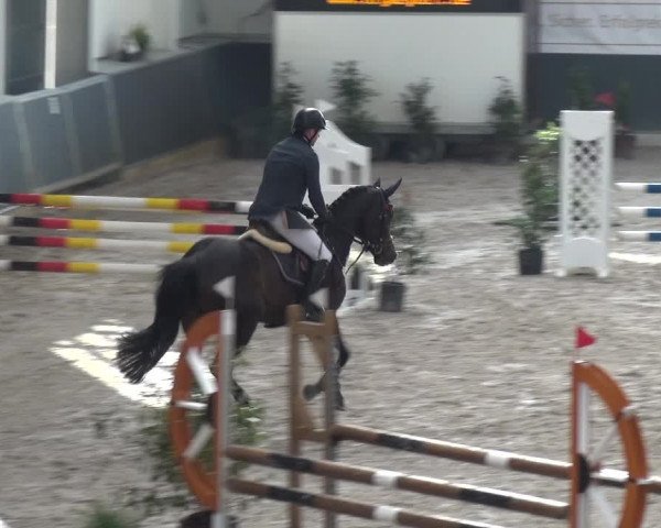 Reitturnier Mönchengladbach-Abtshof 2017
