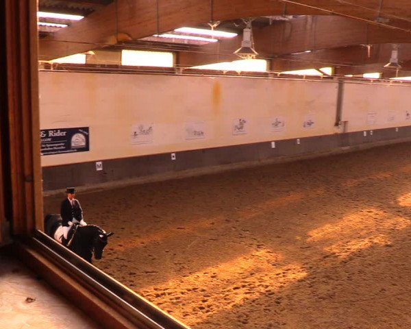 Reitturnier Dallgow 2017