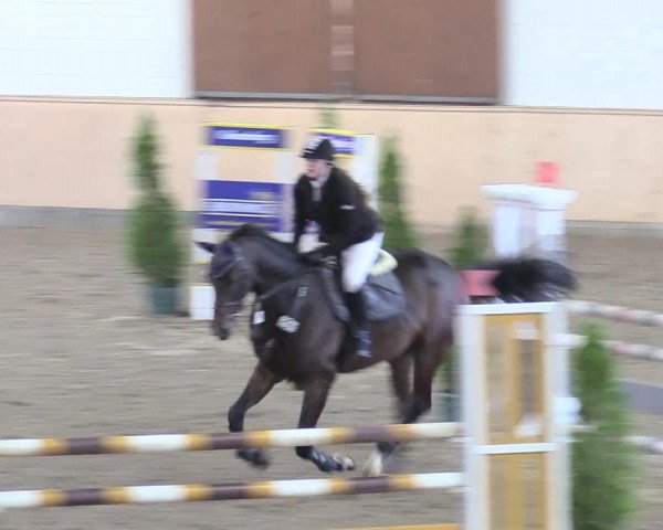 Reitturnier Hövelhof 2017