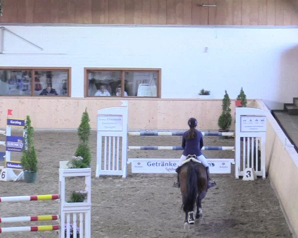 Reitturnier Hövelhof 2017
