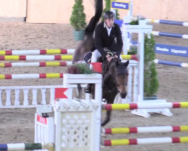 Reitturnier Hövelhof 2017